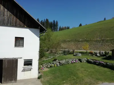 Ausblick auf den Hof