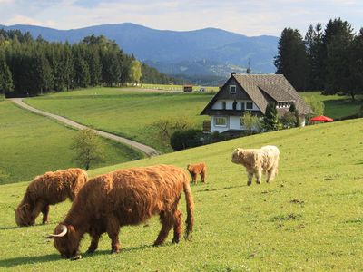 Idyllische, ruhige Lage