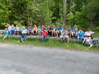Camping-Erbenwald Kinderprogramm