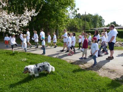 Camping-Erbenwald Kinderprogramm