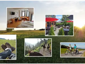 Mehrbettzimmer für 4 Personen in Neubulach