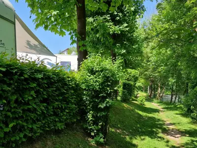Mehrbettzimmer für 4 Personen (8 m²) in Nideggen 6/7