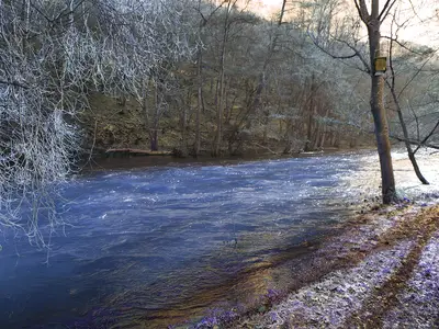 Mehrbettzimmer für 4 Personen (8 m²) in Nideggen 6/7