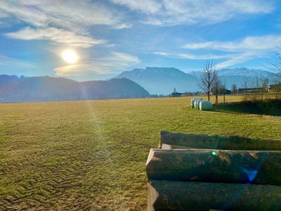 Sommerwiesen mit Blick zum Kaisergebirge