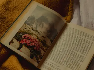 ein gemütlicher Abend auf der Hütte mit einem guten Buch