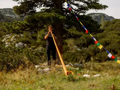 Alphorn