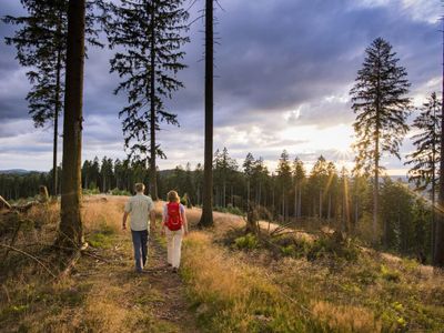 Mehrbettzimmer für 4 Personen in Olsberg 6/10