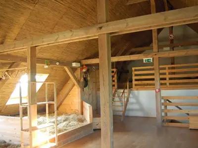 Mehrbettzimmer für 8 Personen (2 m²) in Putbus 4/10
