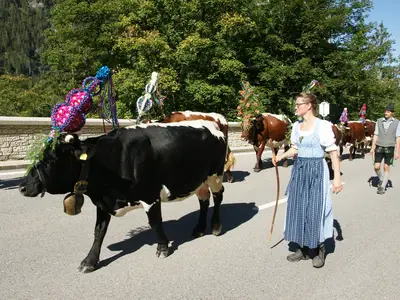 Almabtrieb