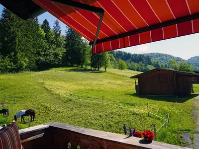 Dreibettzimmer Scheues Reh Blick vom Balkon