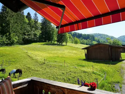 Ausblick vom Balkon, Dreibettzimmer Scheues Reh