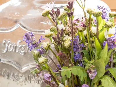 Schäferwagen-Häusle für 4 Personen