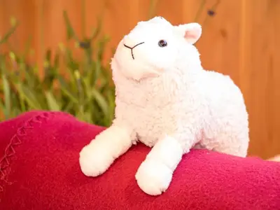 Schäferwagen-Suite für 2 Erwachene und 2 kleine Kinder