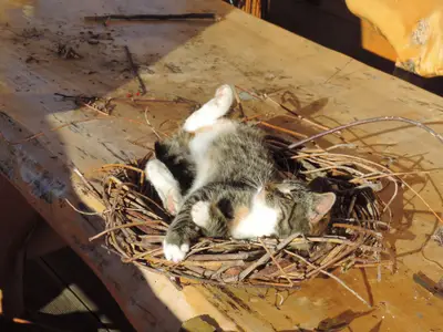 Hier kann man sich wohlfühlen ...