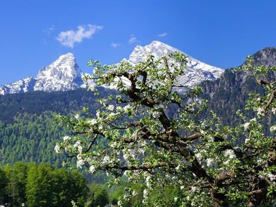 Landschaftsbild