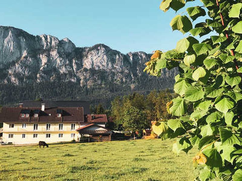 22647919-Mehrbettzimmer-3-St. Lorenz am Mondsee-800x600-0