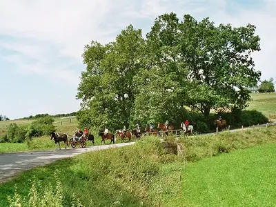 geführte Reittour ins offene Gelände