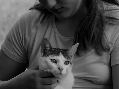 Mehrbettzimmer für 1 Person in Steinbach am Attersee 9/10