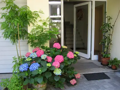 Rundgang /Eingang zum B&B-Haus