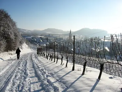 Blick auf Oberrotweil im Winter: Hier mit viel Schnee