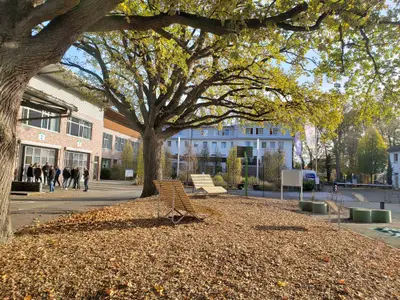 Mehrbettzimmer für 3 Personen in Warendorf 1/8