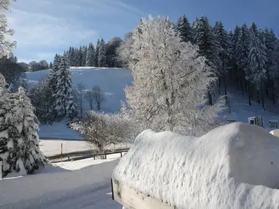 Mehrbettzimmer für 3 Personen in Wieden 4/10