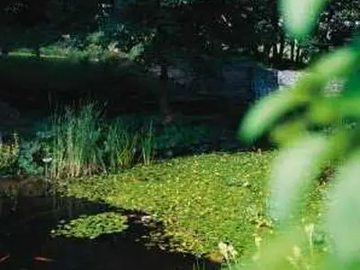 Mehrbettzimmer für 3 Personen in Willingen (Upland) 1/1