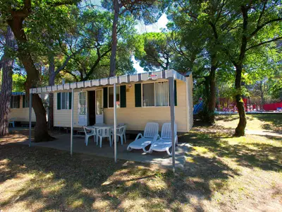Mobilheim für 4 Personen (24 m²) in Aquileia 2/10
