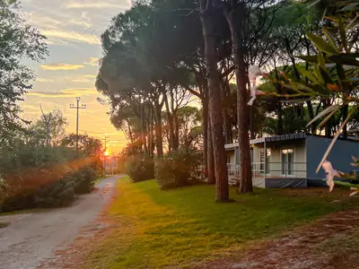 Mobilheim für 4 Personen (24 m²) in Aquileia 6/10