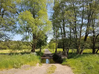 AreaSummer5KM