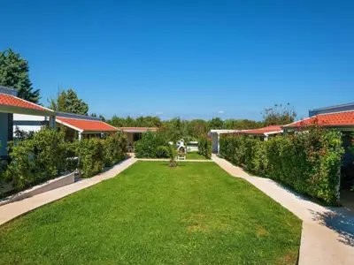GardenSummer