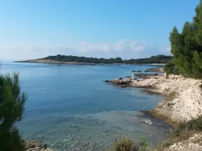 AreaSummer20KM