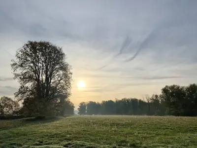 Mobilheim für 2 Personen (15 m²) in Bleckede 9/10