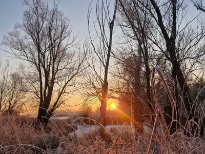 Mobilheim für 2 Personen (15 m²) in Bleckede 9/10