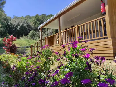 Mobilheim für 6 Personen (32 m²) in Calella 1/10