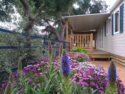 Mobilheim für 6 Personen (32 m²) in Calella 2/10