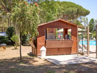 Mobilheim für 5 Personen (24 m²) in Capalbio 7/10