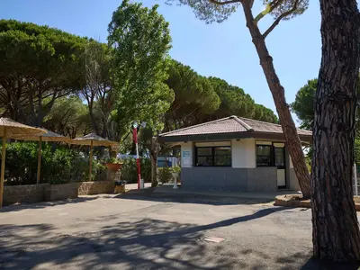Mobilheim für 5 Personen (24 m²) in Capalbio 10/10