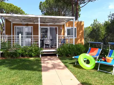 Mobilheim für 5 Personen (30 m²) in Castiglione della Pescaia 1/10