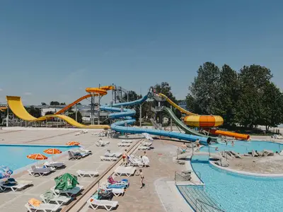 Mobilheim für 5 Personen (24 m²) in Čatež ob Savi 10/10