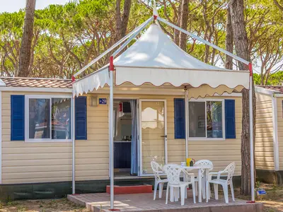 Mobilheim für 4 Personen (22 m²) in Cavallino-Treporti 1/10