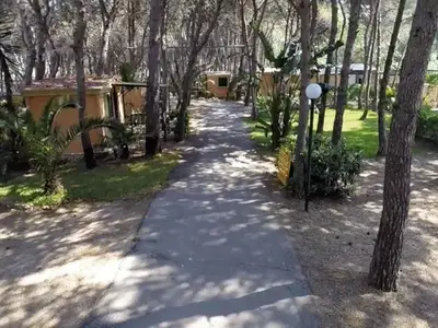 Mobilheim für 5 Personen (24 m²) in Gallipoli 6/10