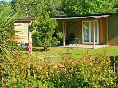 Mobilheim für 6 Personen (35 m²) in Grado 7/10