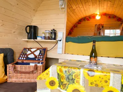 Mobilheim für 4 Personen (11 m²) in Lastrup 8/10