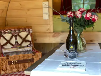 Mobilheim für 4 Personen (10 m²) in Lastrup 10/10