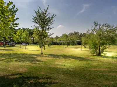 Mobilheim für 4 Personen (28 m²) in Lido Di Dante 10/10