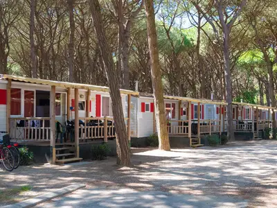 Mobilheim für 5 Personen (24 m²) in Lido Di Spina 4/10