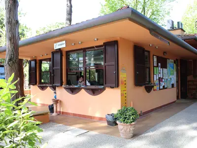 Mobilheim für 4 Personen (18 m²) in Lido Di Spina 2/10