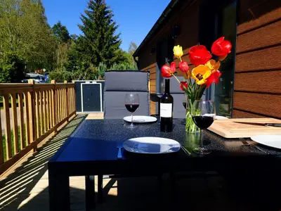 Mobilheim für 4 Personen (48 m²) in Lohmen 3/10