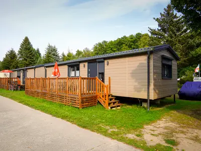 Mobilheim für 4 Personen (48 m²) in Lohmen 3/8